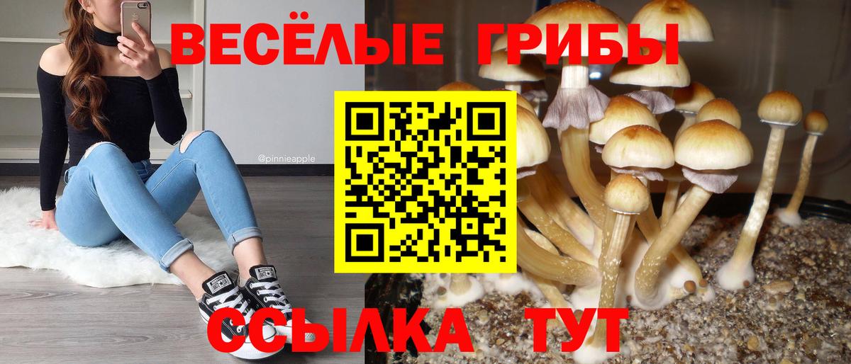 Псилоцибиновые грибы GOLDEN TEACHER  Вход с VPN  Югорск 