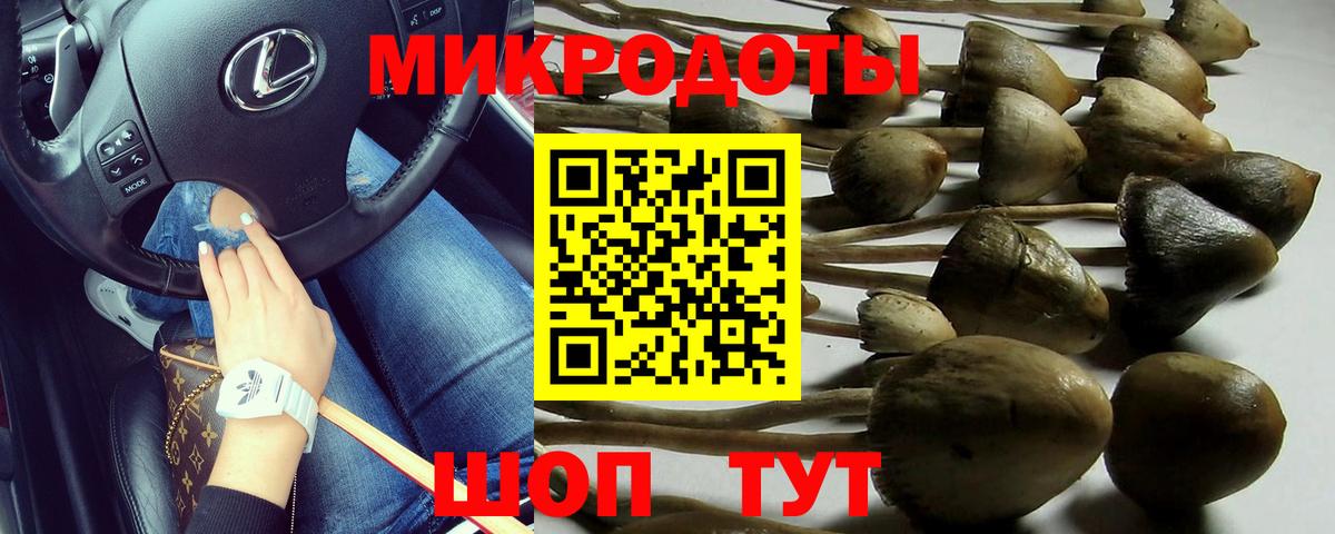 Псилоцибиновые грибы GOLDEN TEACHER Югорск